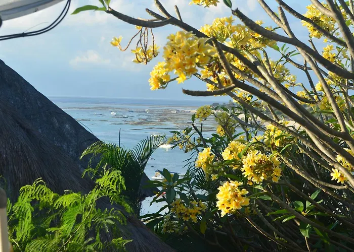Aqua Nusa - Luxury Lembongan Villas