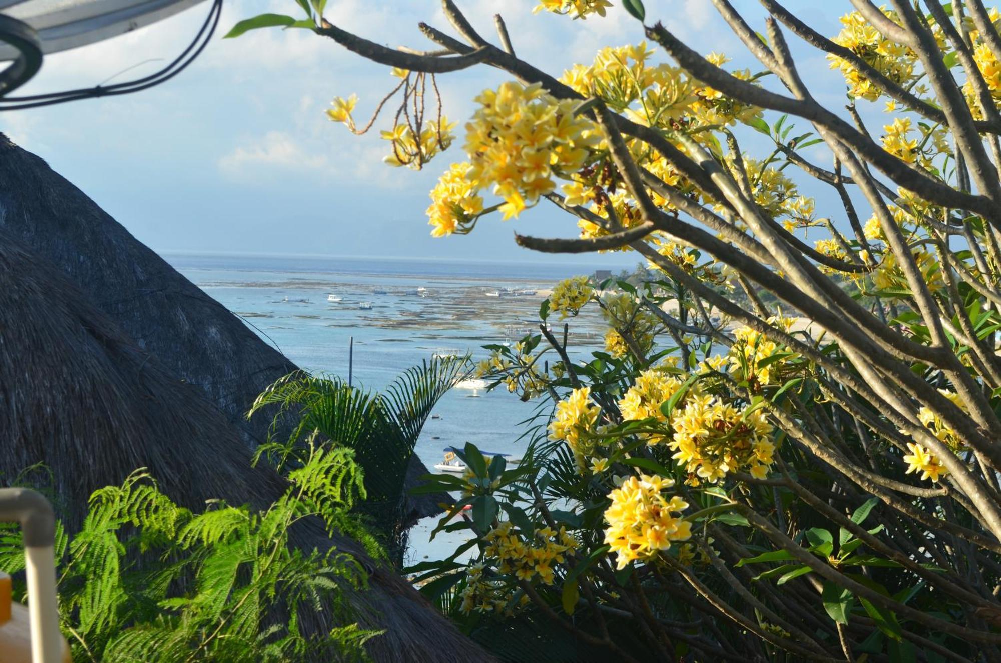 Aqua Nusa - Luxury Lembongan Villa *